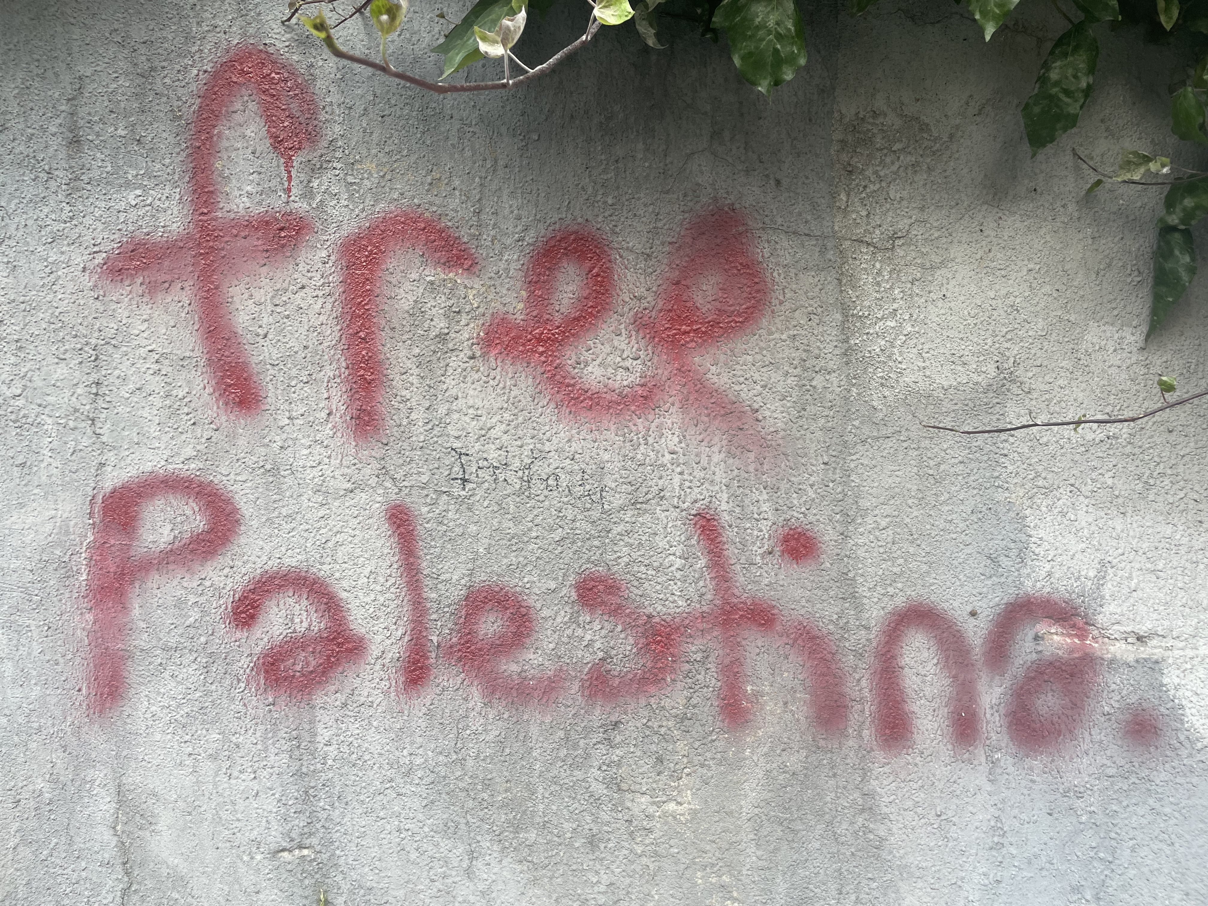 Street Art and Political Expression in Tophane